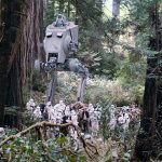 Endor forest in Star Wars