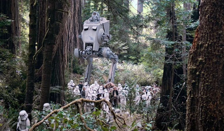 Endor has burned down in a forest fire. Seriously.